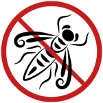 Élimination frelons asiatiques Angoulême – Nuisibles 16